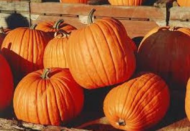 Photo of Halloween adventures in Delaware